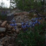 Tuk 2018 – Day 6 – Top of the&nbsp;World